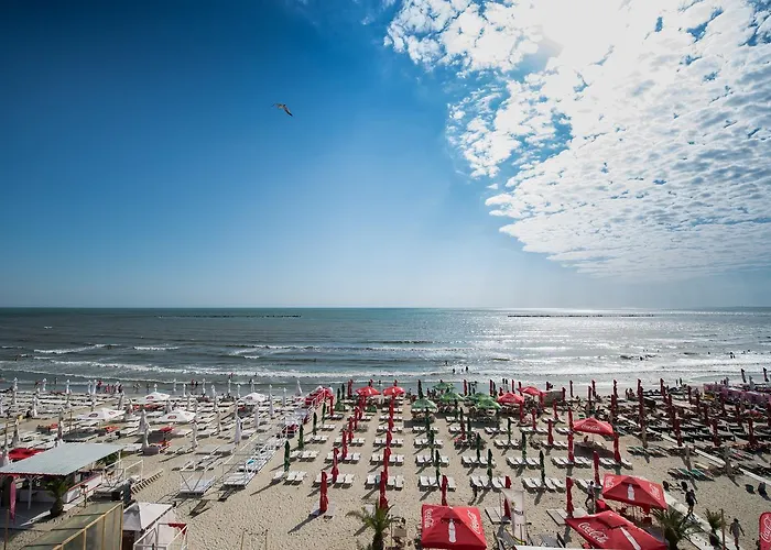 Sara Boutique - Laurette Due